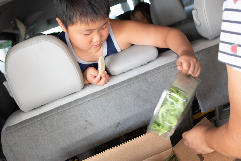 Participants in BVMI's Prevent Diabetes Program are eligible to particpate in summer Farmer's Market. In this picture the son of one of our patients eagerly checks out the box of produce just loaded into his family's car.