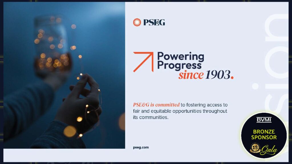 Bronze - PSEG